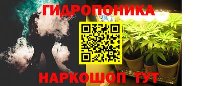 дмт Можга