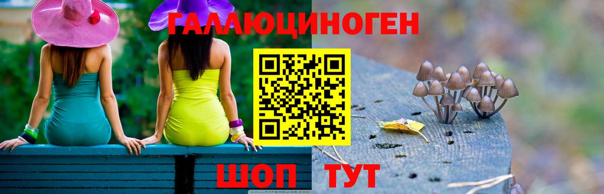 Псилоцибиновые грибы MAGIC MUSHROOMS  Вход с VPN  Фурманов  Галлюциногенные грибы Cubensis 